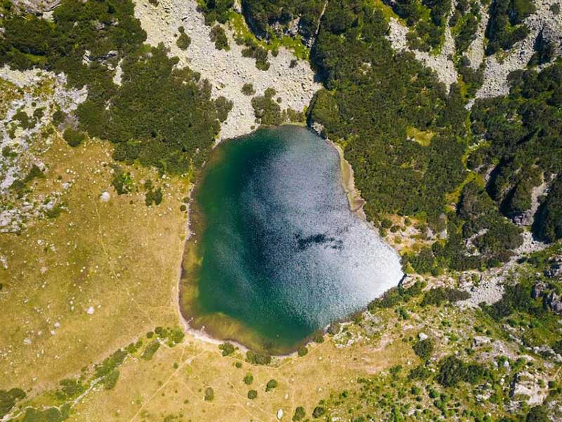 水质生物毒性检测仪应用场景