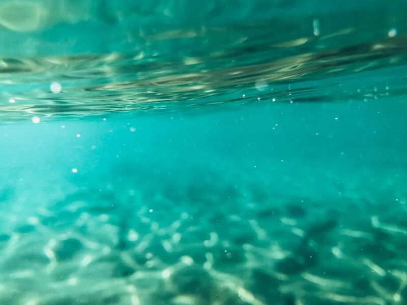 水质毒性检测仪可以检测哪些指标