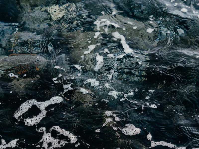 水质生物毒性检测仪原理