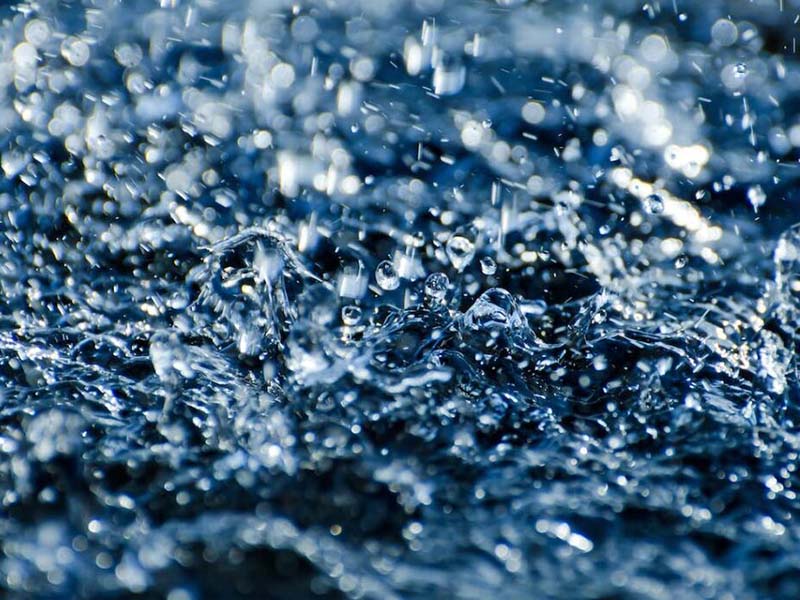污水生物毒性评价方法流程