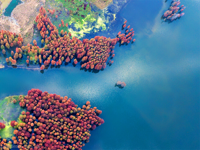 生物毒性检测国家标准