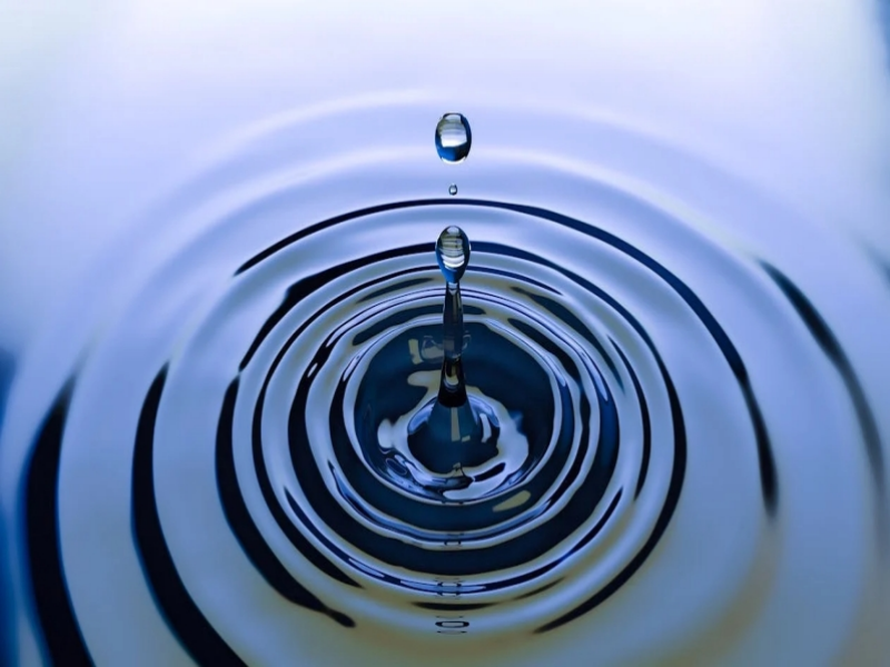 水质生物毒性检测仪特点（水质生物毒性检测仪应用领域）
