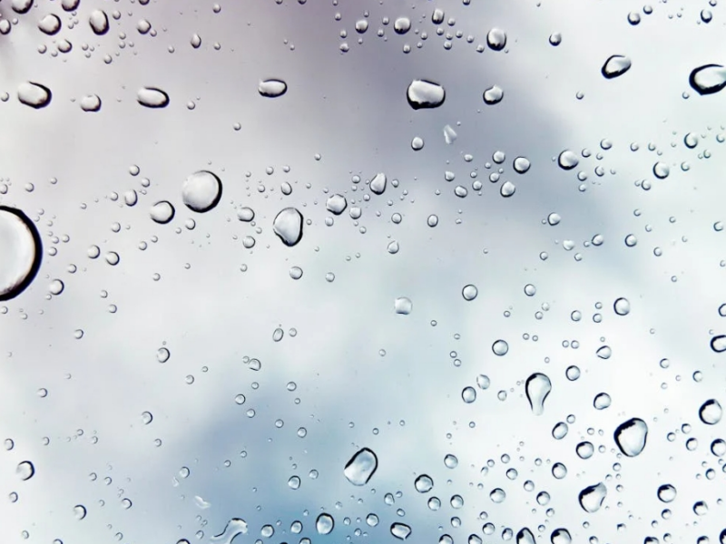 水污染的危害（水污染治理的必要性）