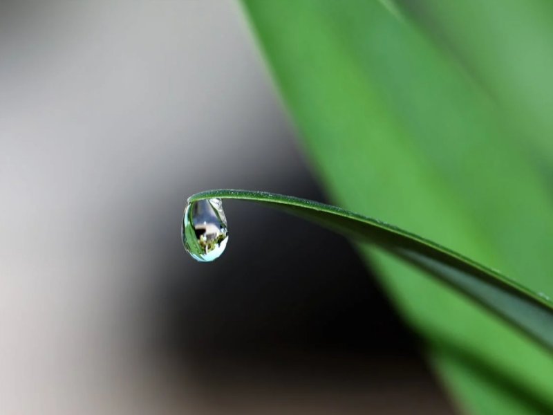 水质检测仪常用的检测原理（水质检测仪检测项目与应用行业）