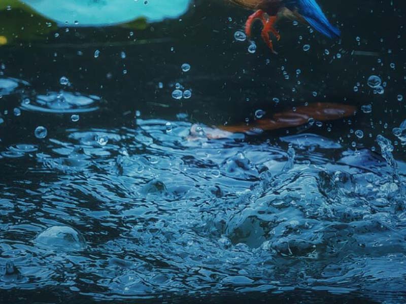 污水检测的主要项目（污水检测主要方法介绍）