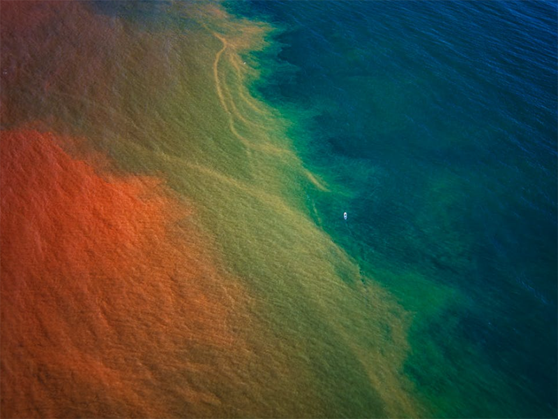 氨氮检测仪工作流程