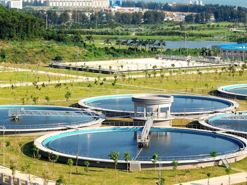 水质生物毒性检测主要特点（水质生物毒性检测的重要性与应用）