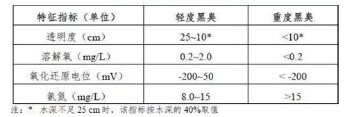 黑臭水体的成因与治理