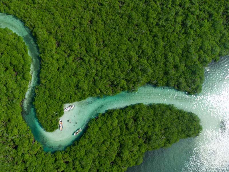水质生物毒性分析国家标准（生物毒性分析仪功能特点详解）