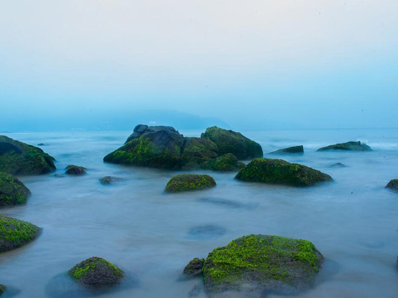 生物毒性检测仪正确使用指南（生物毒性检测仪维护保养）