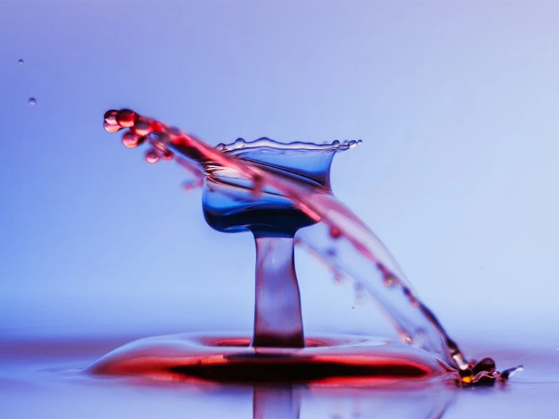 如何确保水质生物毒性检测仪结果准确性（水质生物毒性检测仪的应用）