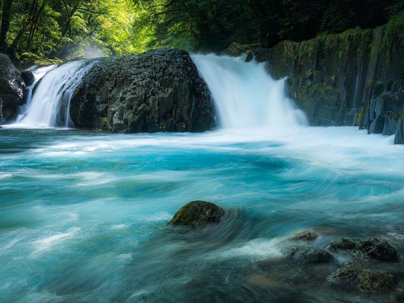 水质生物毒性检测仪哪种好（水质生物毒性检测仪怎么选择）