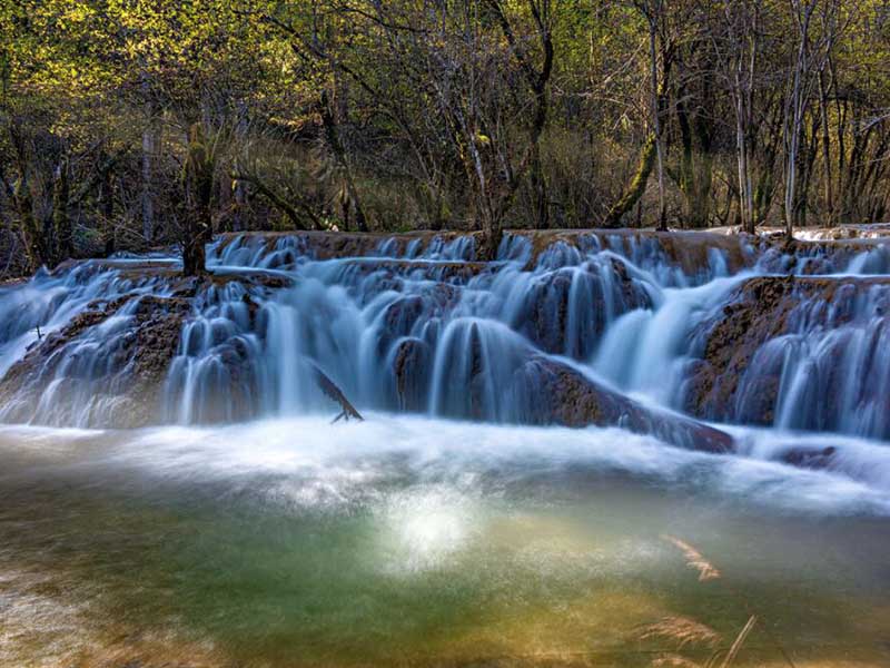 水质急性毒性检测的必要性（水质毒性检测条件）