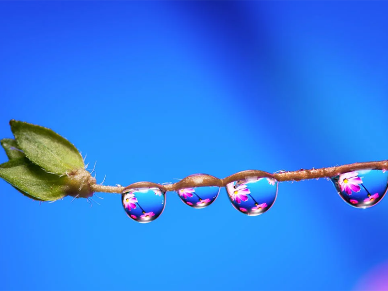 不同水质的检测标准（水质检测常规指标）