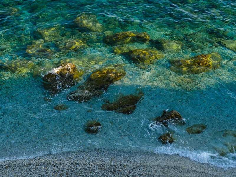 水质急性毒性测定仪厂家（水质急性毒性测定仪功能及优势）