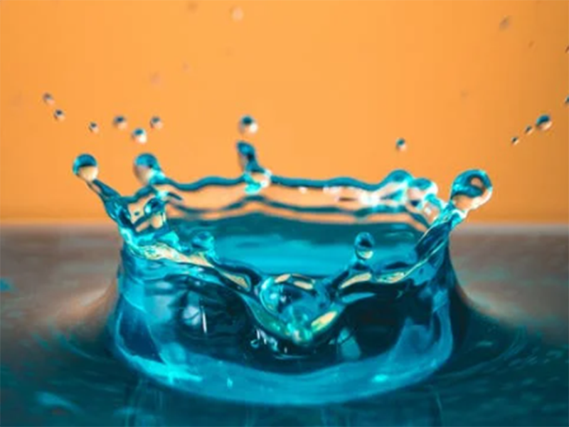 水质生物毒性检测标准