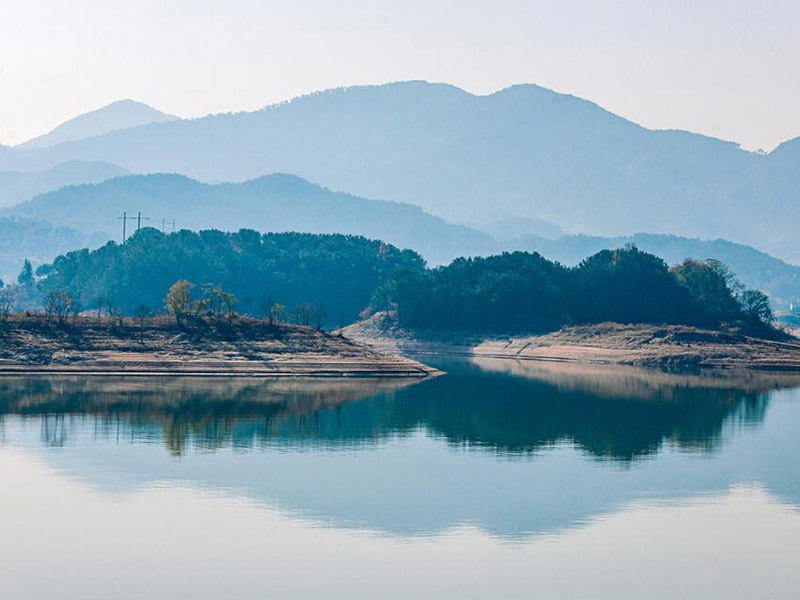 生物毒性未来研究重点