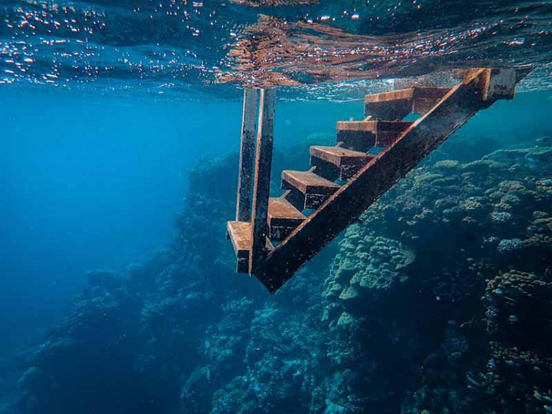水质生物毒性检测结果判定标准