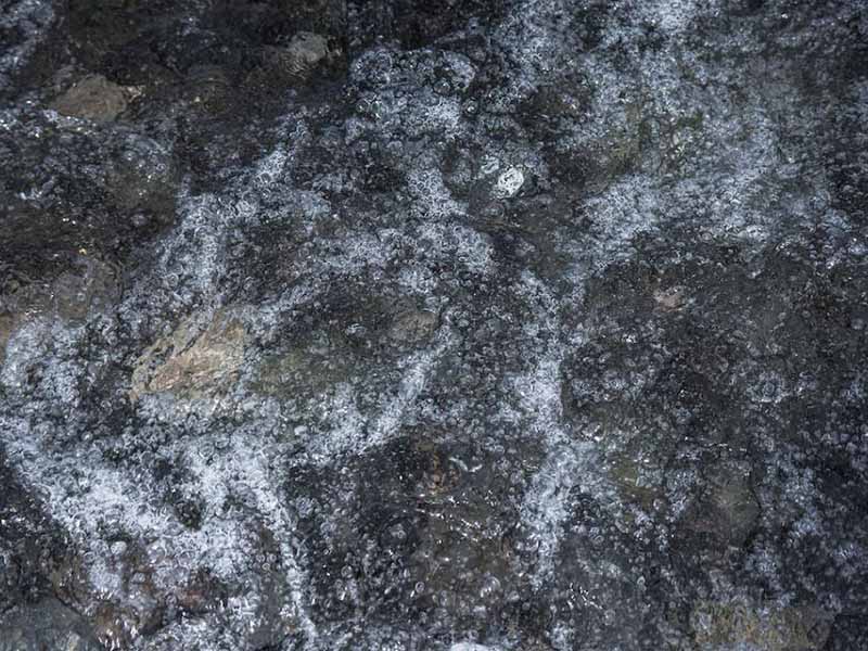 水质生物毒性检测的作用（水质生物毒性检测重要性解读）