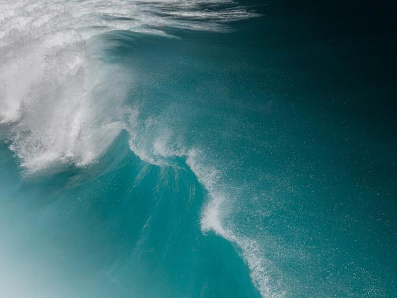 污水生物毒性检测实际应用案例（污水生物毒性检测的作用）
