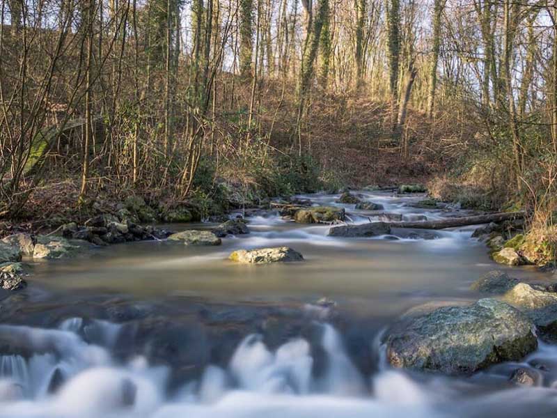 生物毒性检测仪具体应用领域（生物毒性检测仪哪种好）