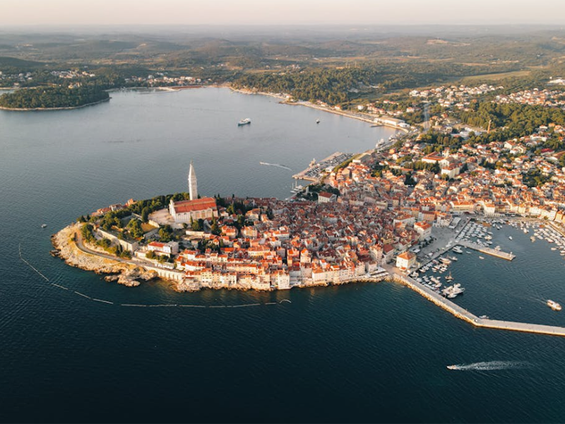 水质毒性是什么（水质毒性是怎么检测的）