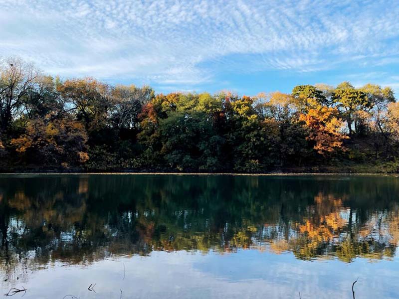 水质生物毒性检测方法分类（水质生物毒性检测实际应用场景）