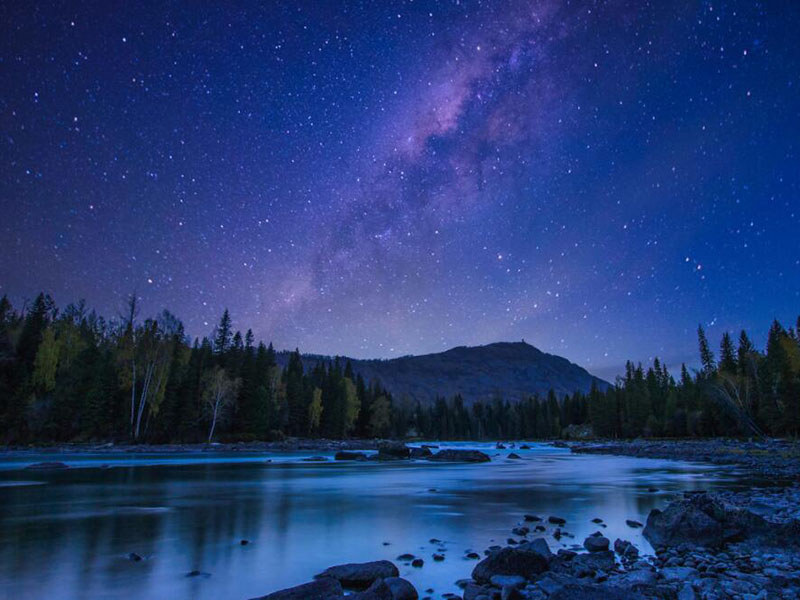 水质生物毒性检测仪优缺点分析（水质生物毒性检测仪选购要点）