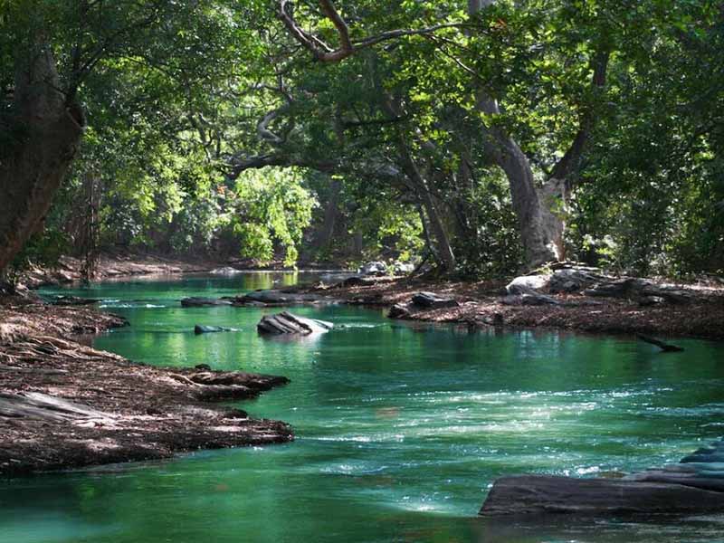 水质生物毒性检测仪原理（水质生物毒性检测仪核心作用）