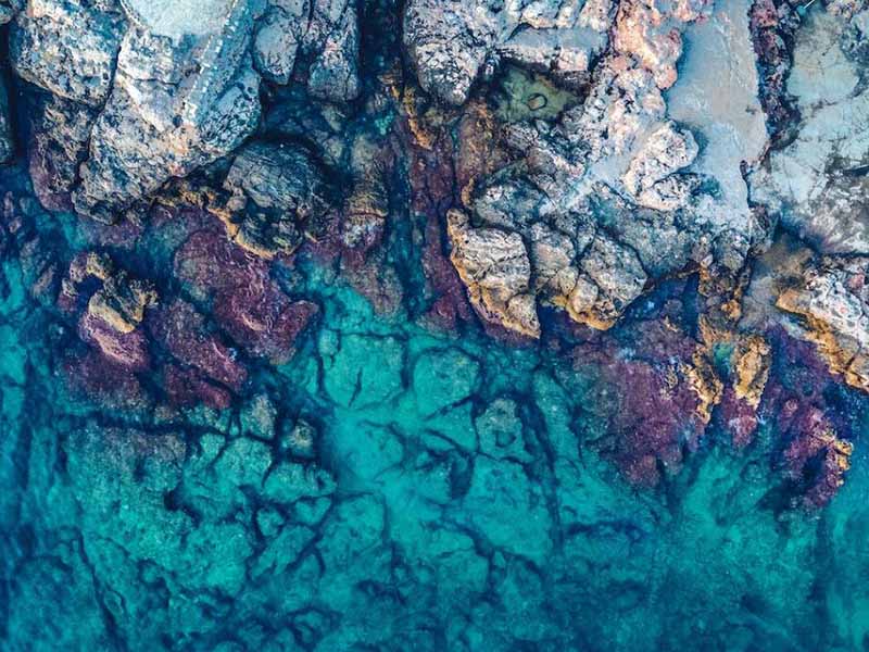 污水综合毒性如何检测（污水综合毒性检测标准）