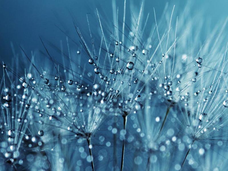 生物毒性检测仪的使用条件要求（生物毒性检测仪应用领域）