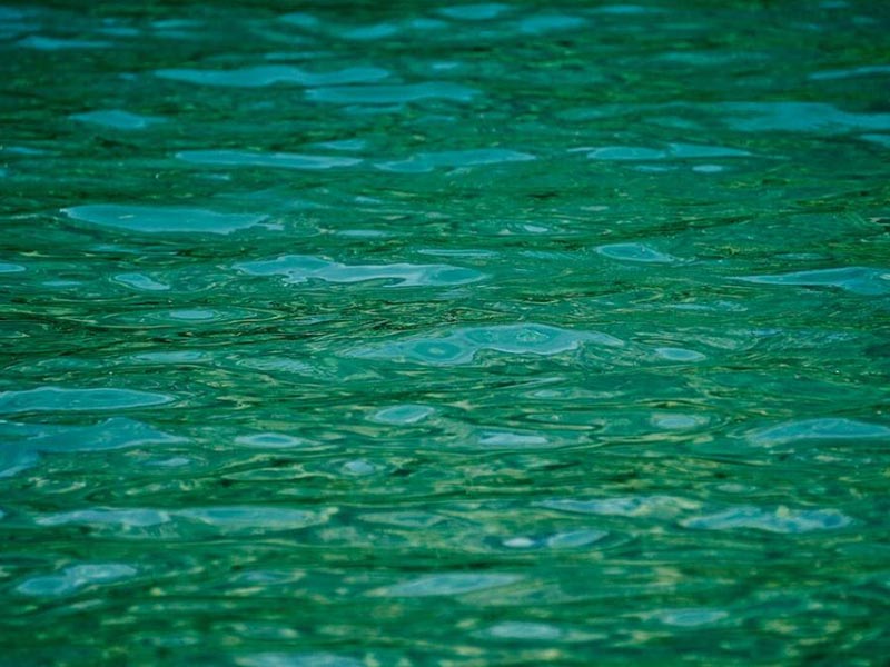 水质生物毒性检测仪基本原理（水质生物毒性检测仪推荐）