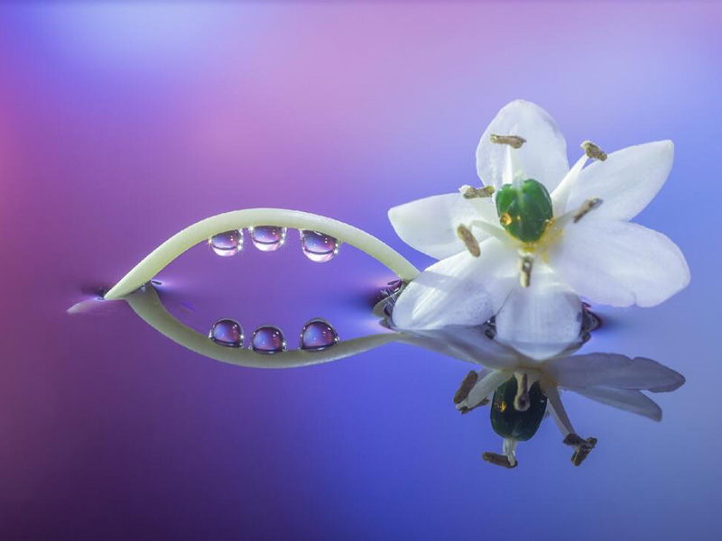 生活用水的检测项目有哪些（生活用水检测的方法）