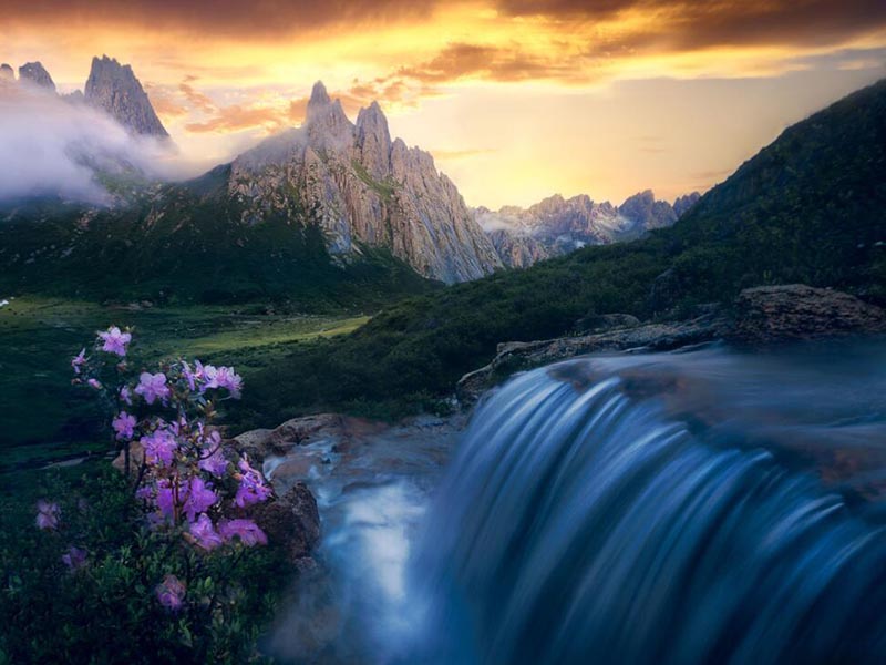 水质综合毒性检测仪适用场景（水质综合毒性检测仪厂家）