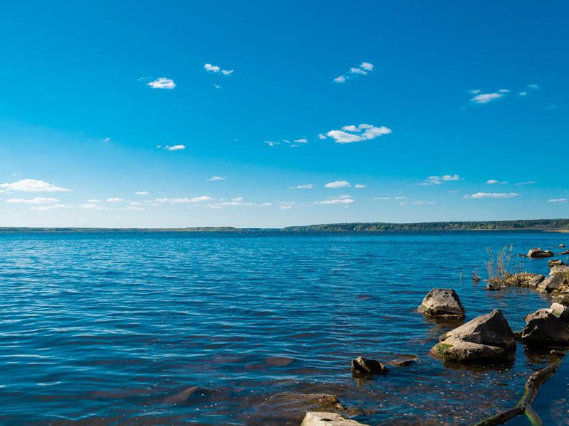 水质综合毒性监测保障饮用水安全（水质毒性检测评价标准）