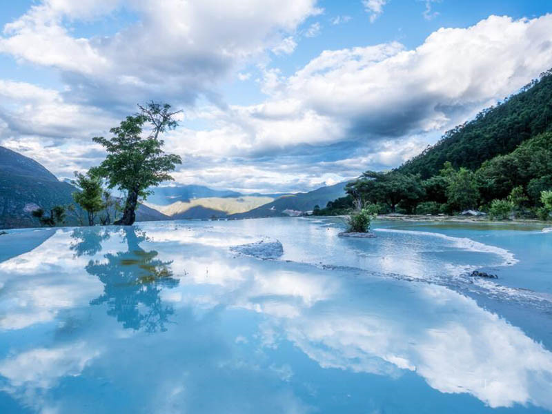 生物毒性分析仪原理及特点（生物毒性分析仪测定步骤）