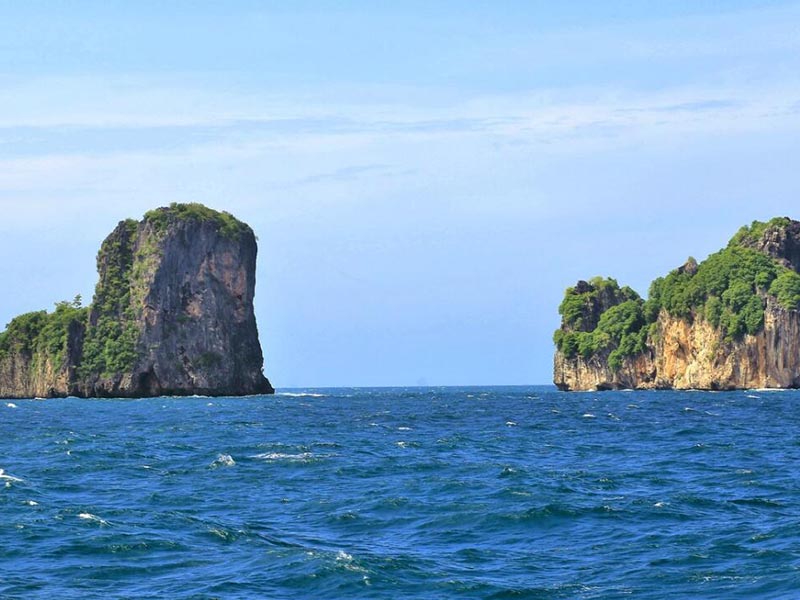 生物毒性监测的重要性（​国标法生物毒性分析标准）
